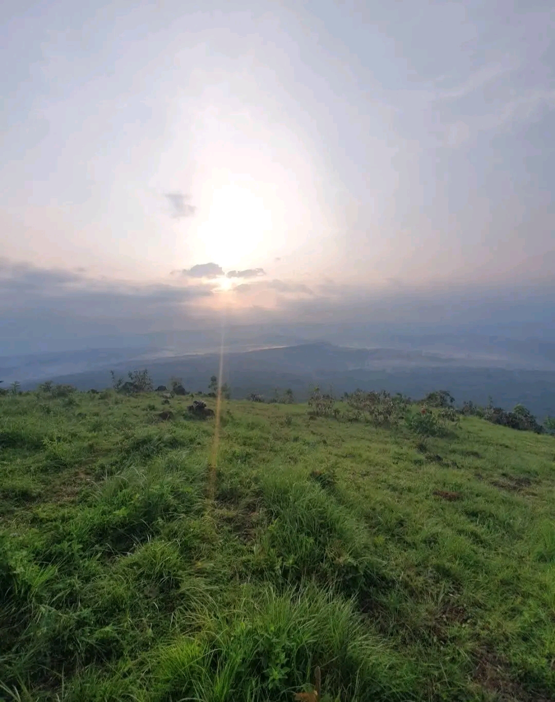 Kakamega Forest 3